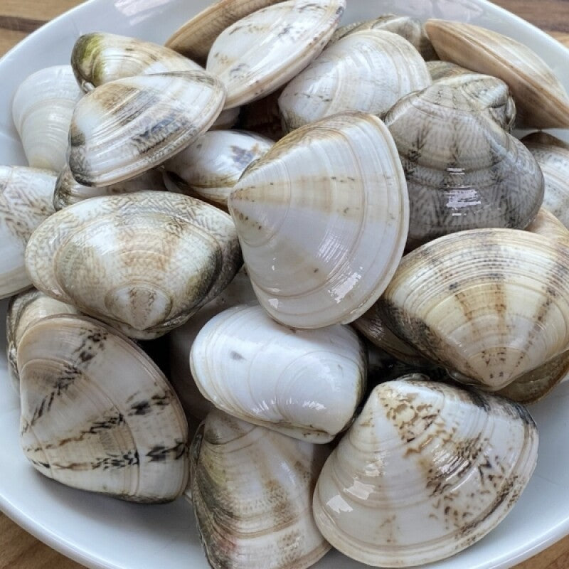Frozen Bidan Clam (3.4oz, 100g)