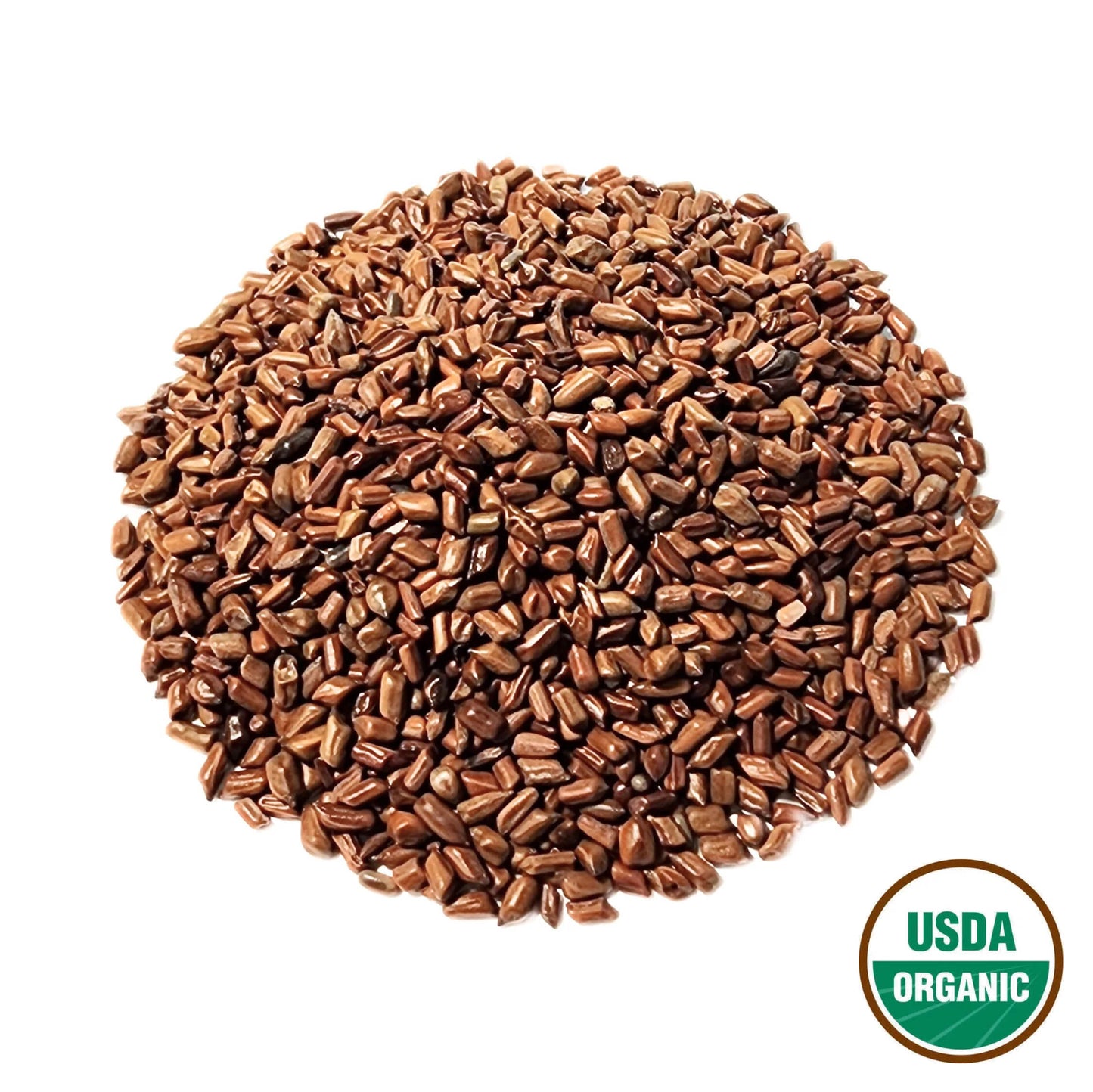 Cassia Seed (Dry-fried) - Cassia obtusifolia Semen - Jue Ming Zi (Chao) - Organic Grade