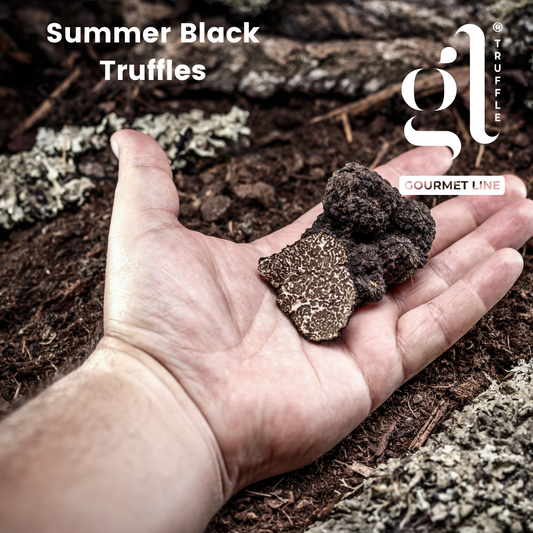 GL Truffle Gourmet, Whole Black Summer Truffle, Preserved 35g (1.2oz)