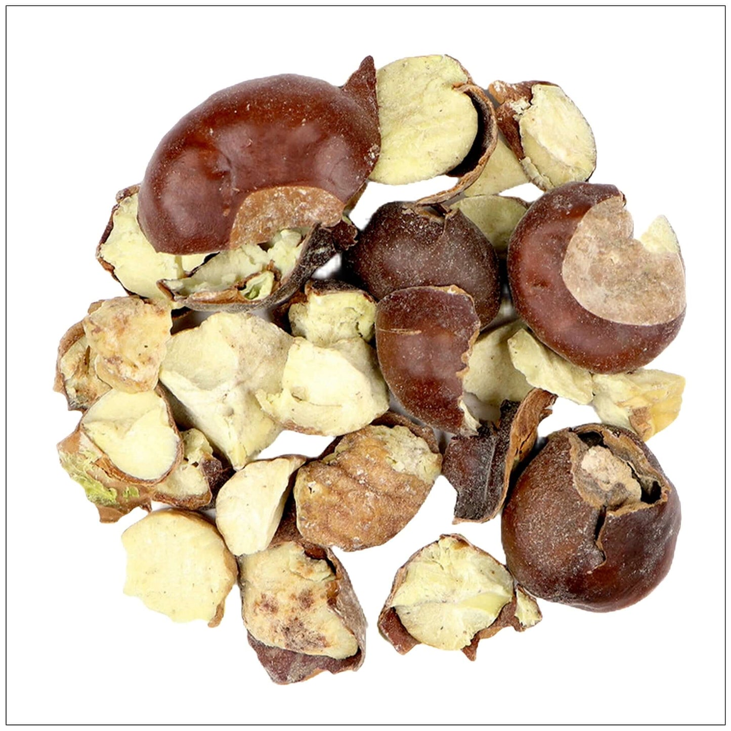 Horse Chestnuts