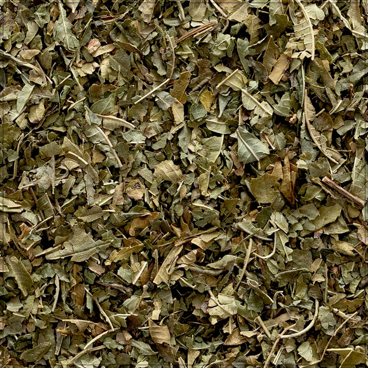 Lemon Verbena Leaf