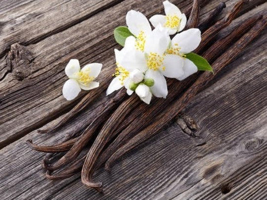 Vanilla Bean Infused Honey