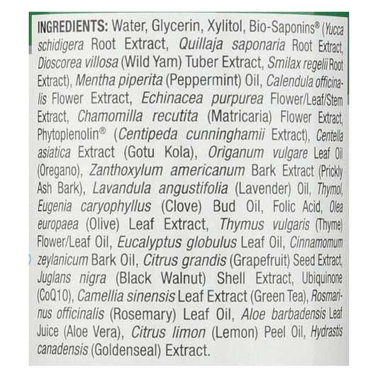 Nature's Answer Cool Mint Alcohol-Free Mouthwash 16 Fl Oz