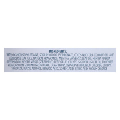 Kirk's Natural - 3-in-1 Cleanser Euclypt Mint - 1 Each-32 Fz