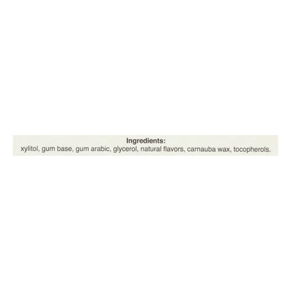 Pur Gum Cinnamon, Aspartame-Free, 9 Pieces, Case of 12
