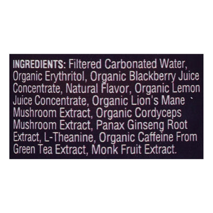 Odyssey - Sparkling Energy Blkbry Lemon - Case of 12-12 FZ