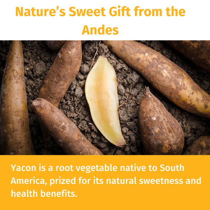 Yacon Syrup