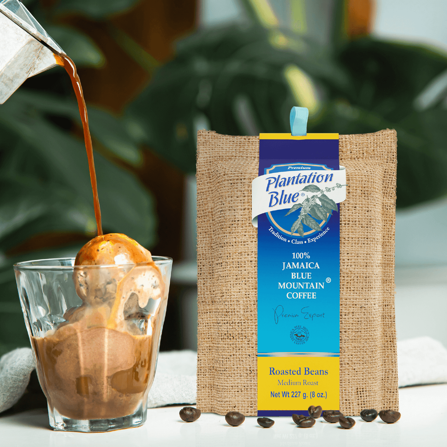 Plantation Blue 100% Jamaica Blue Mountain Premium Coffee (8oz - medium roasted whole beans)