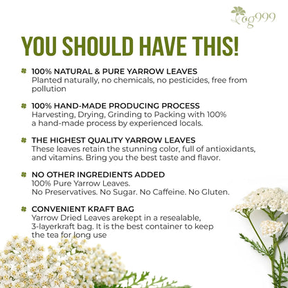 Premium Yarrow Tea Leaves | Naturally Aromatic, Freshly Packed Loose Leaf Yarrow