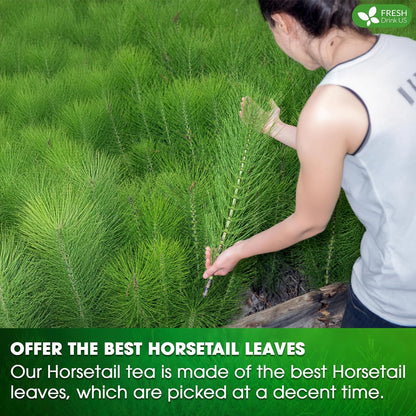 Premium Horsetail Leaf Tea Bags, 100% Natural & Pure from Horsetail Loose Leaves Herbal Tea. No Sugar, No Caffeine, No Gluten, Vegan.