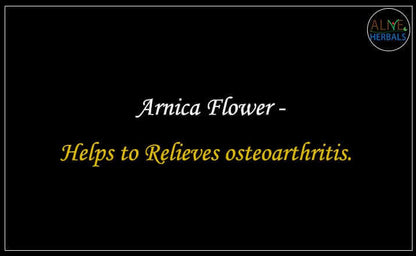 Arnica Flower