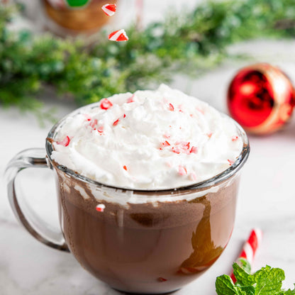 Instant Dairy Free Peppermint Hot Cocoa Mix  | Single Serving 5 Pack |Gluten Free, Vegan and Organic