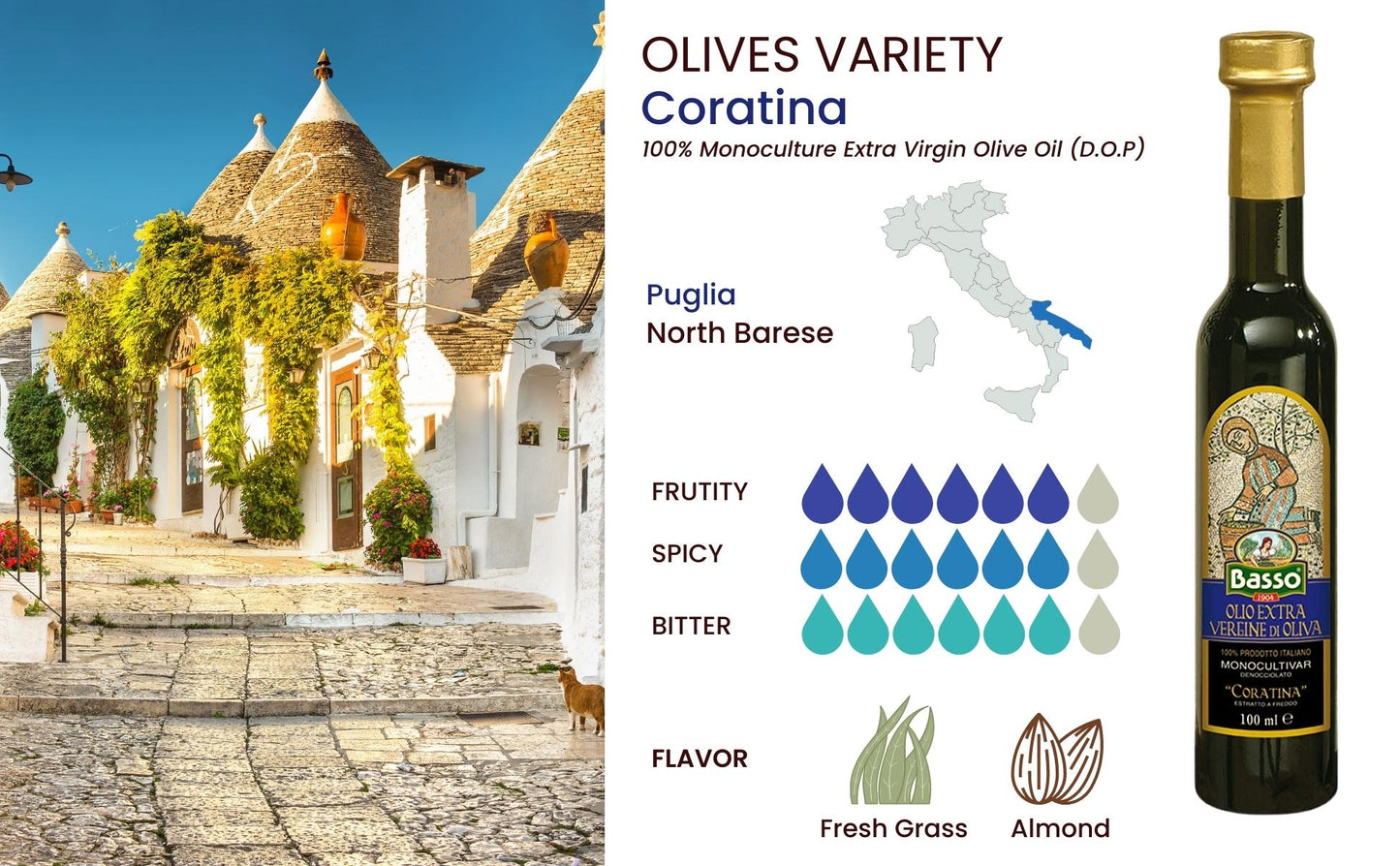 Basso 1904 Limited Edition Italian EVOO Tasting Gift Set – 5 x 100 ml