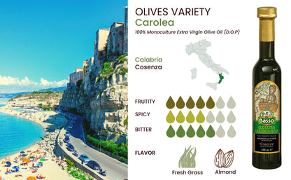 Basso 1904 Limited Edition Italian EVOO Tasting Gift Set – 5 x 100 ml