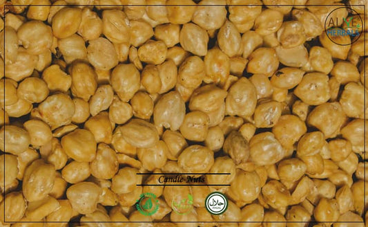 Candle Nuts
