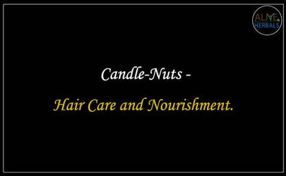 Candle Nuts