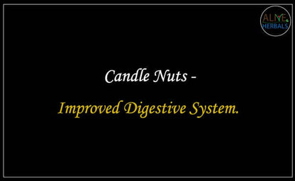 Candle Nuts