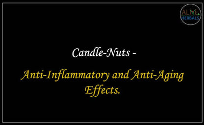 Candle Nuts