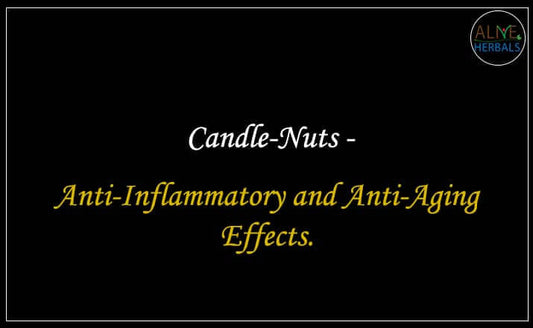 Candle Nuts