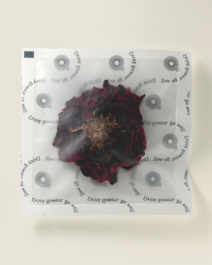 Shangri-la Rose