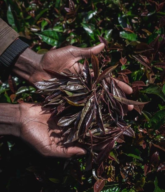 Purple Au Naturalé Kenyan Loose Leaf Tea