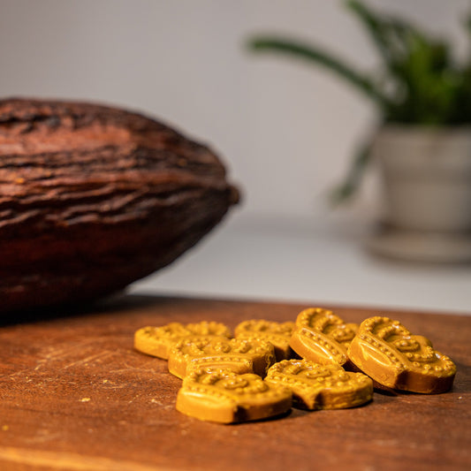 Golden Mylk Bites