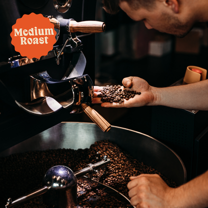Three Bears | Signature Decaf Blend | Naturally Decaffeinated