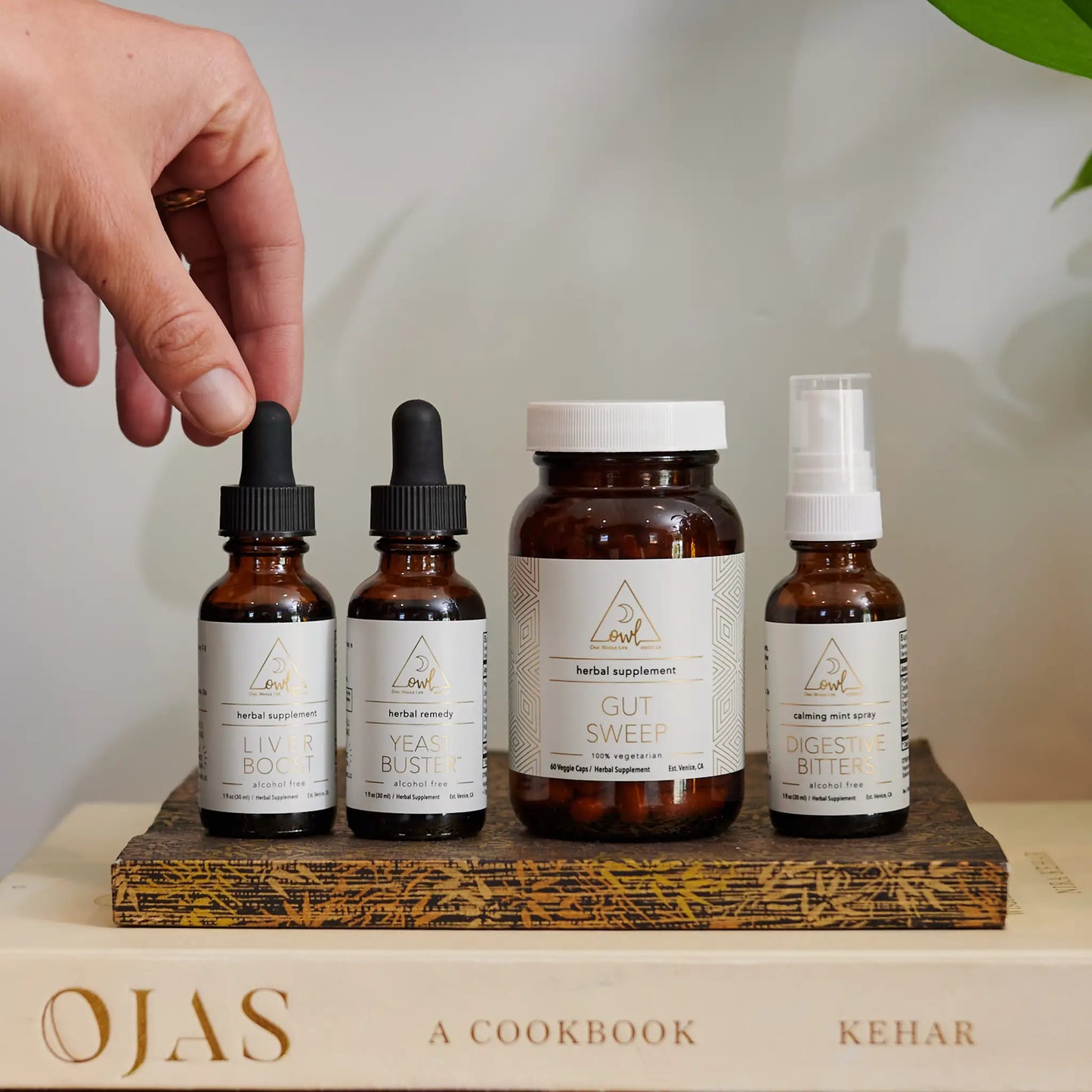 OWL Supplement Kit