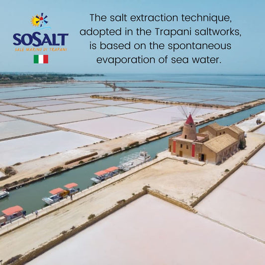 SoSalt Fine Sea Salt from Sicily | Bulk Foodservice Bag 10 kg (22 lb) | Kosher, All Natural