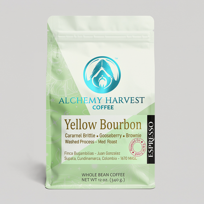 Yellow Bourbon - Washed Espresso