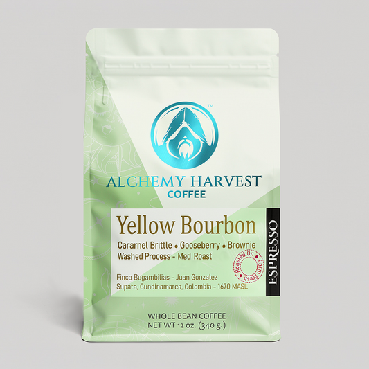 Yellow Bourbon - Washed Espresso