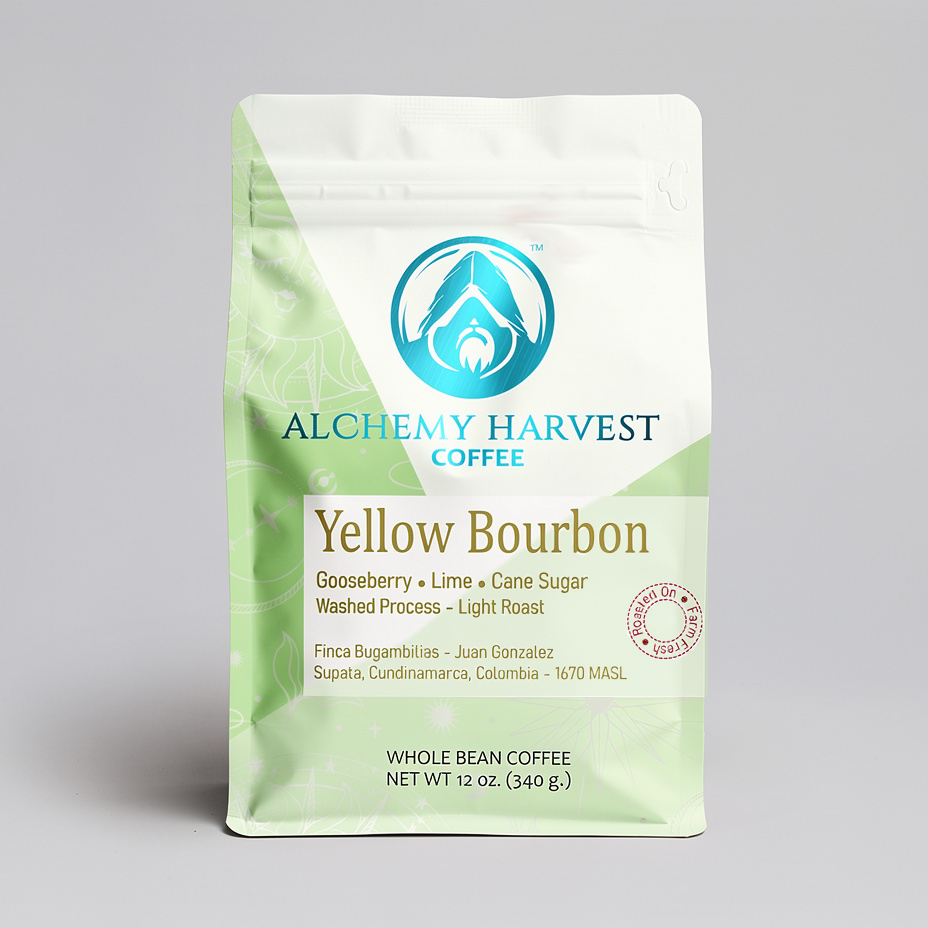 Yellow Bourbon - Washed
