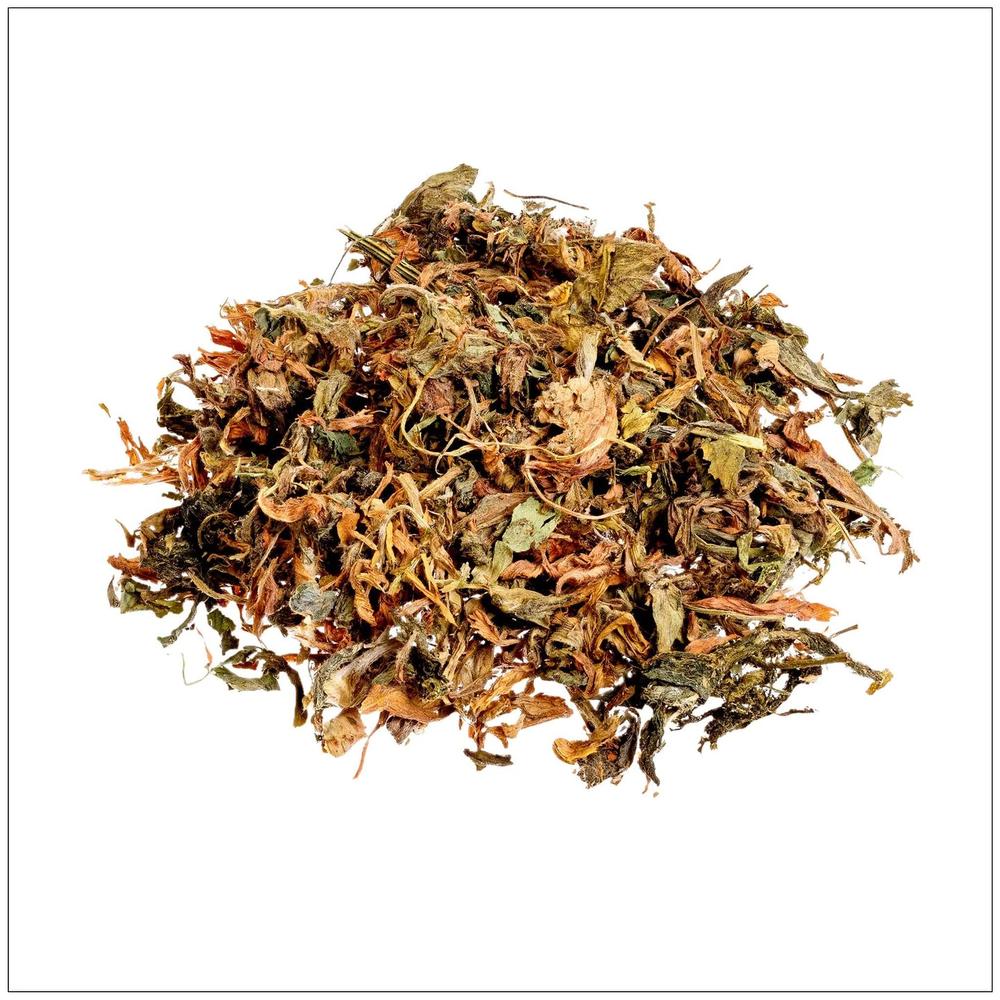 Alfalfa Leaf