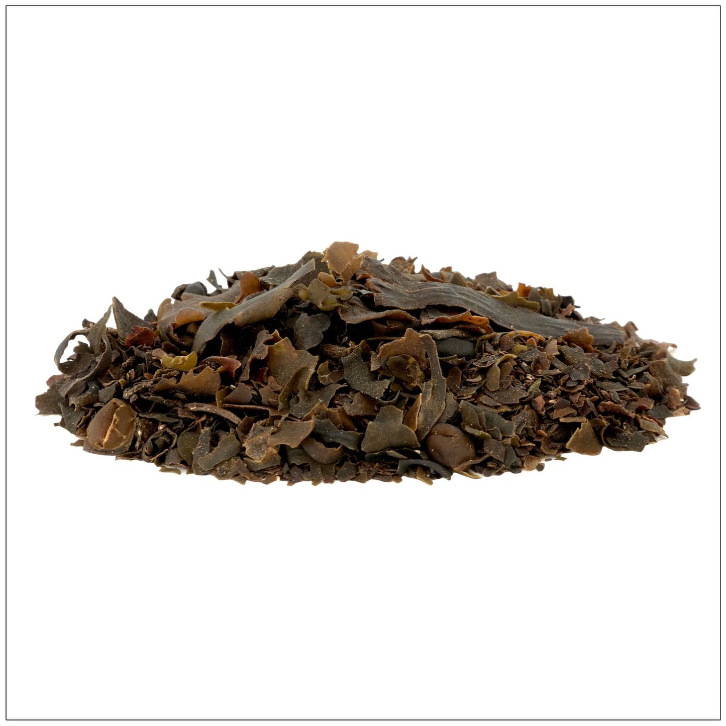 Bladderwrack