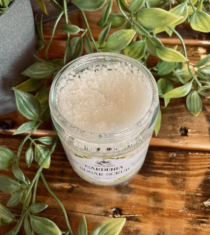 Gardenia Sugar Scrub