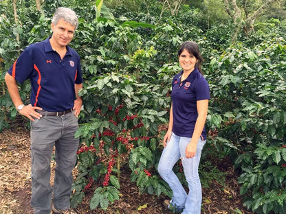 Farmer's Daughter Blend