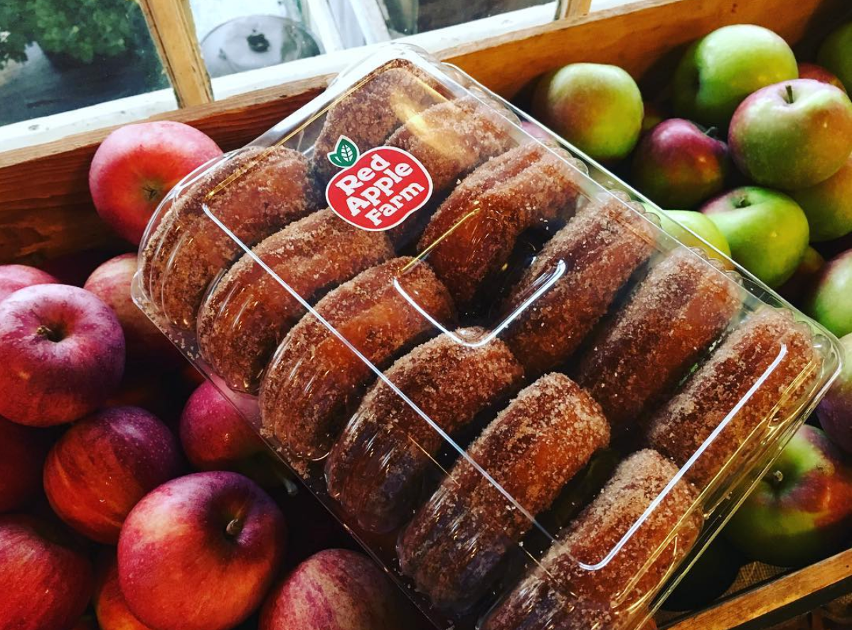 Apple Cider Donuts