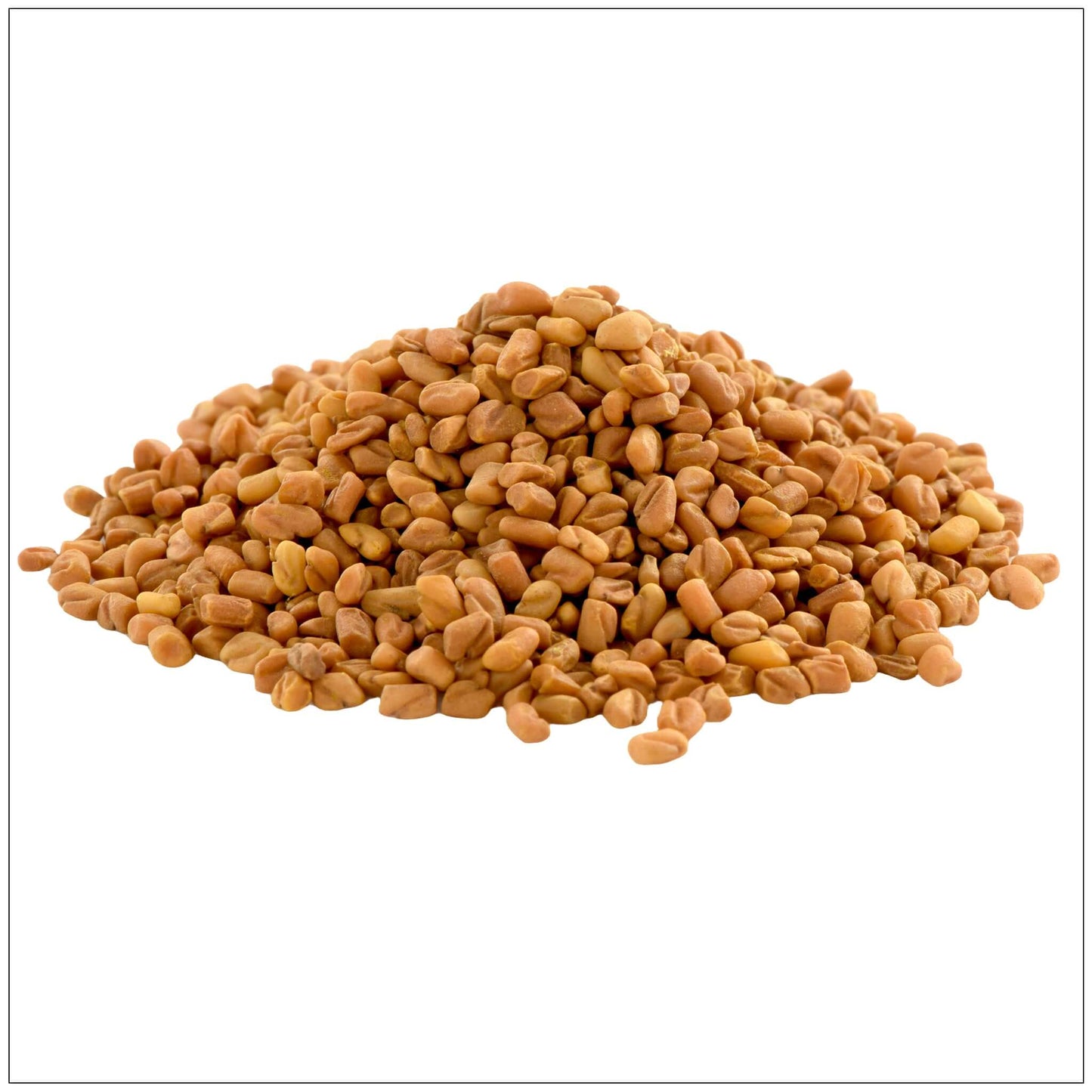 Fenugreek Seeds