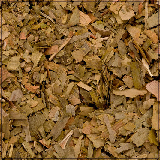 Ginkgo Leaf