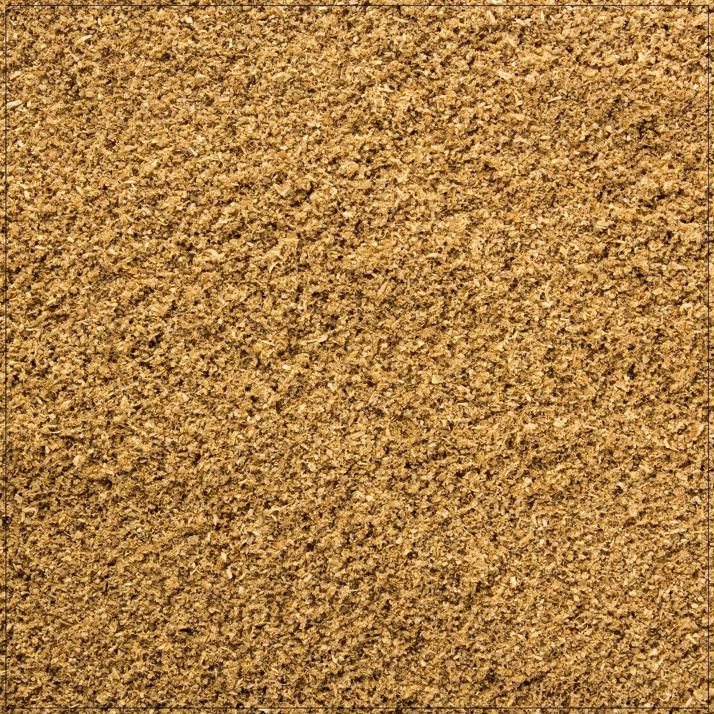 Coriander Powder
