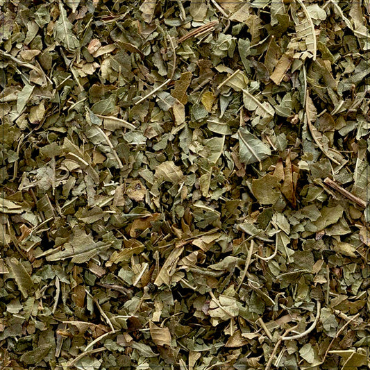 Lemon Verbena Leaf