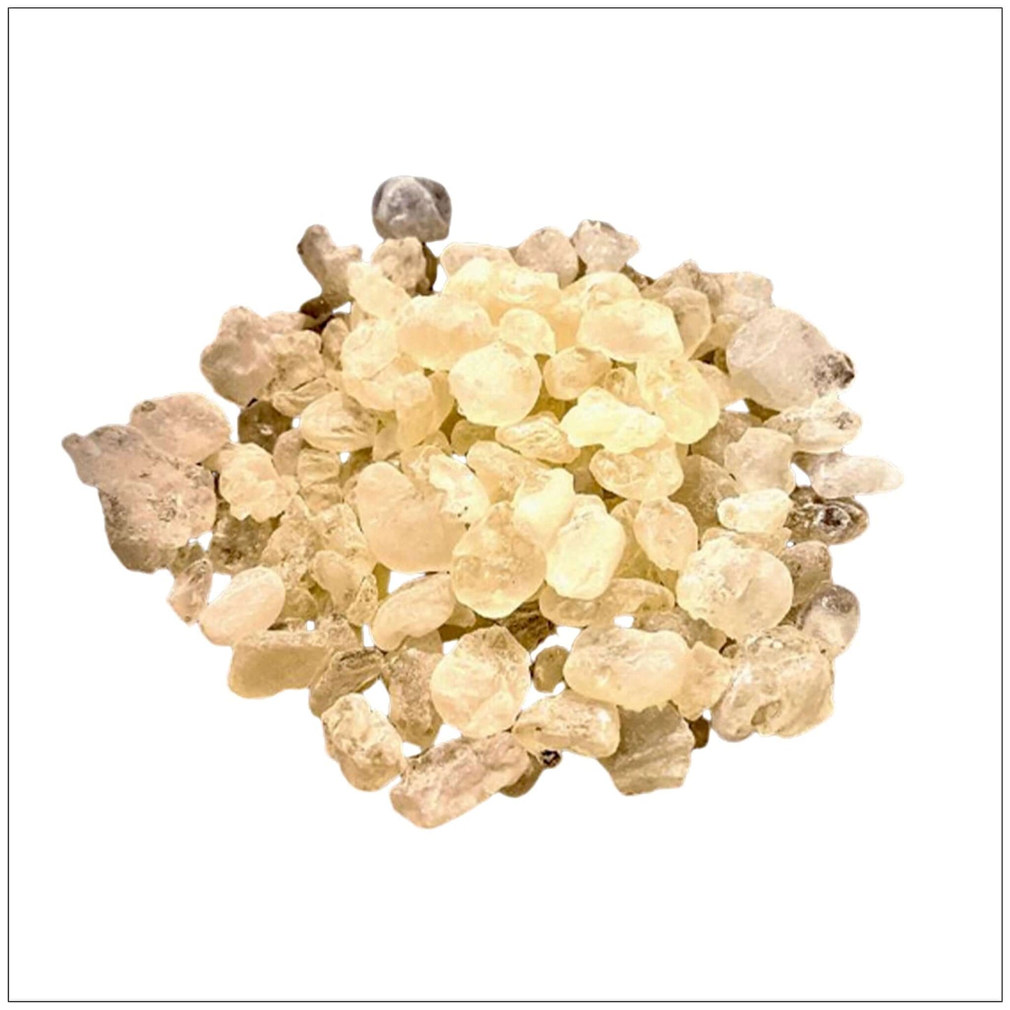 Mastic Gum