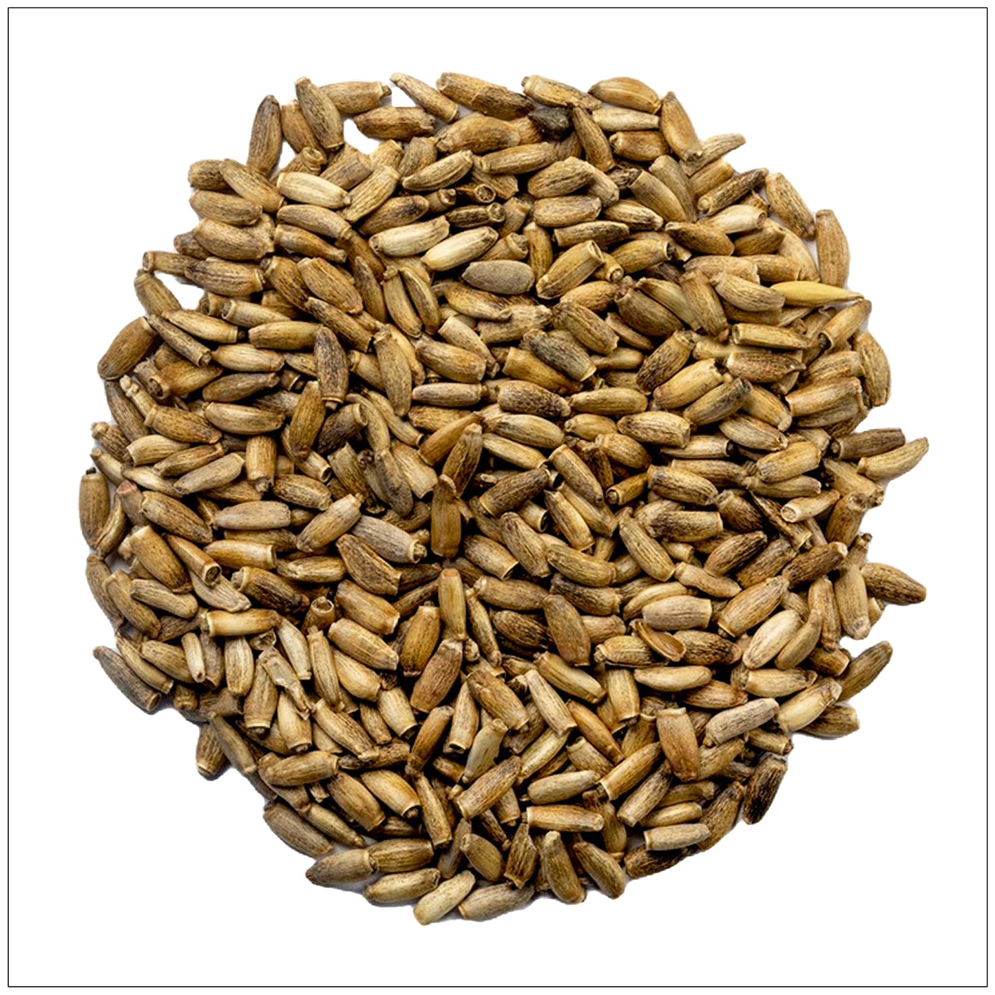 Milk Thistle Seed