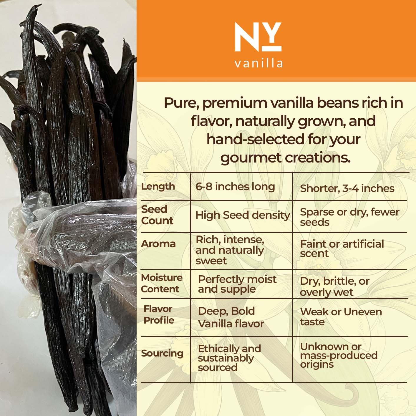 Wholesale Grade A Vanilla Beans  Premium Bulk Pods