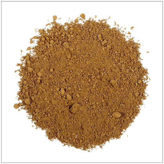 Red Reishi Mushroom Extract Powder