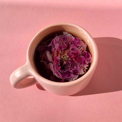 Floral Collection (variety box)