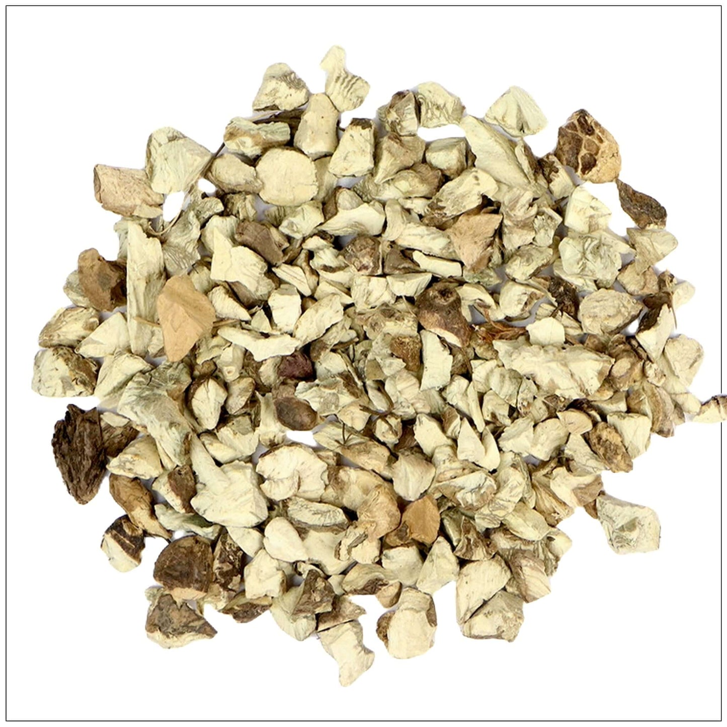 Stone Root