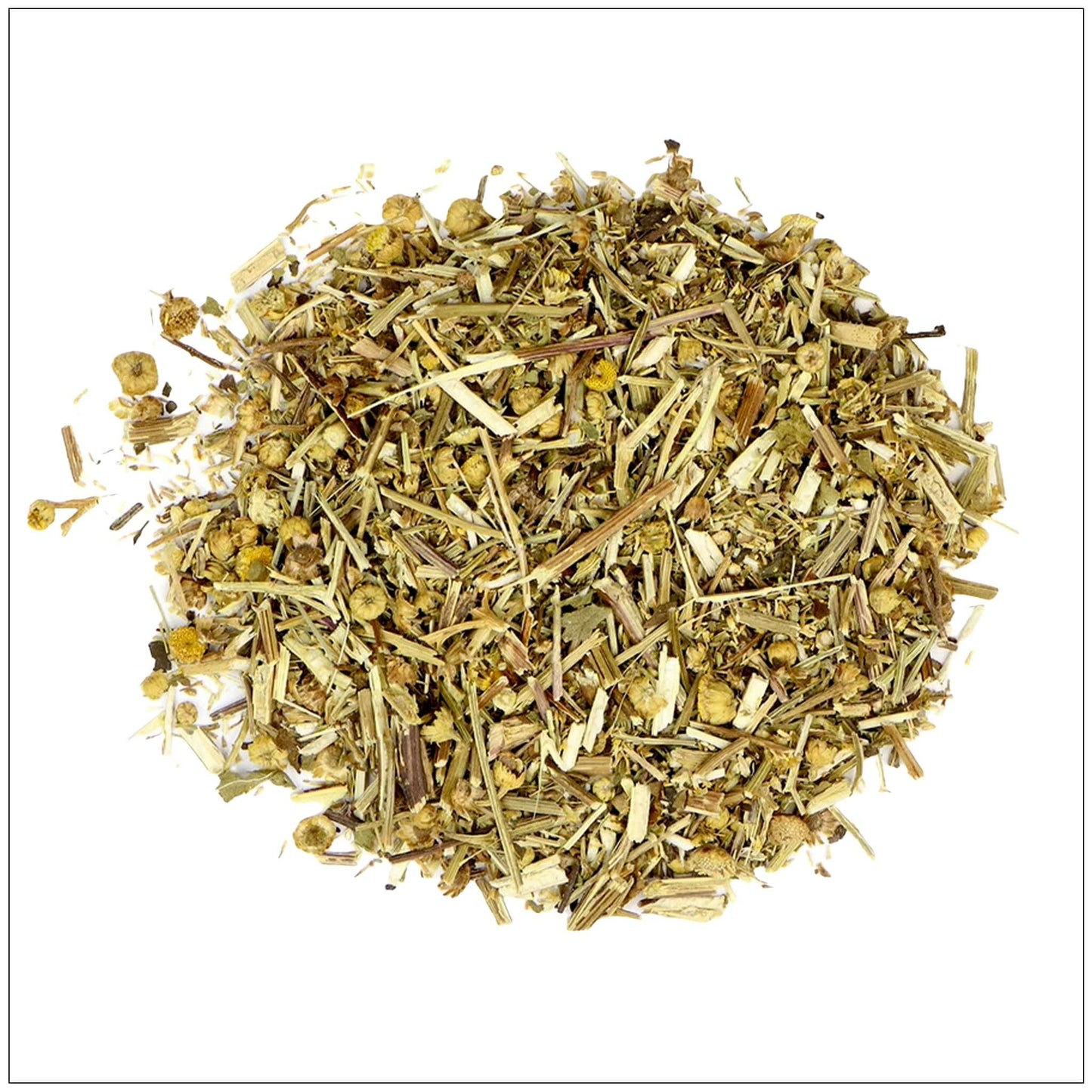 Tansy Herb