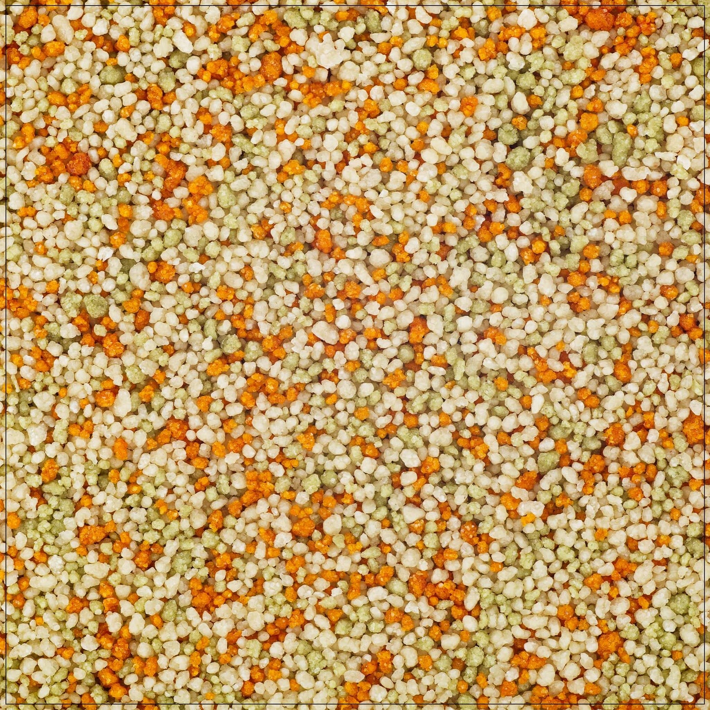 Tri Color Pasta Couscous