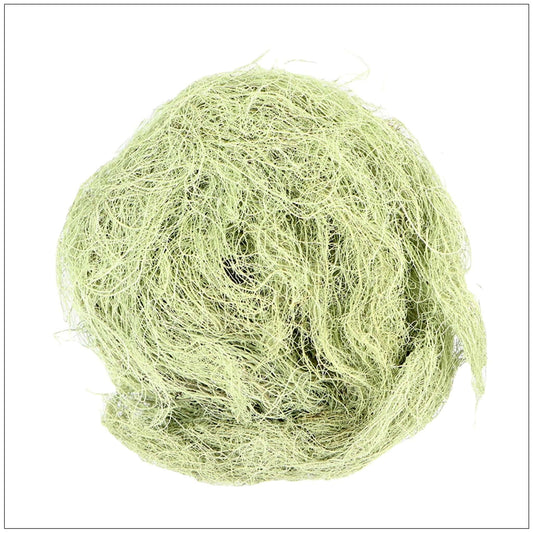 Usnea Lichen